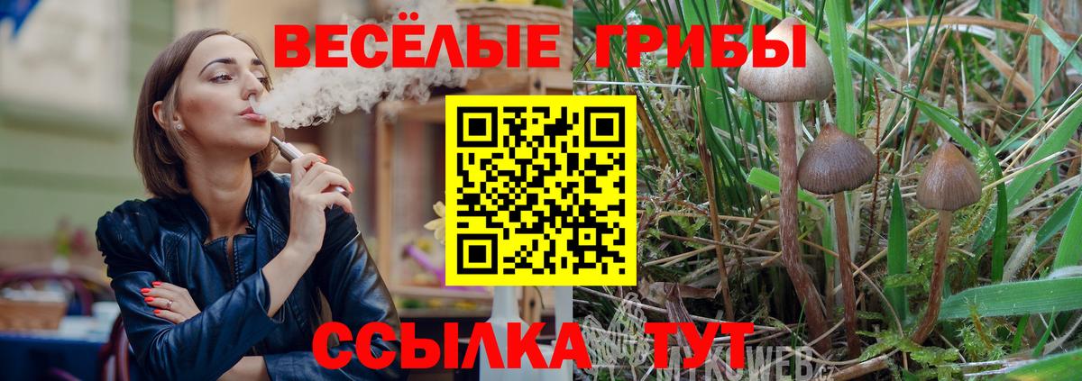 Псилоцибиновые грибы прущие грибы Октябрьский