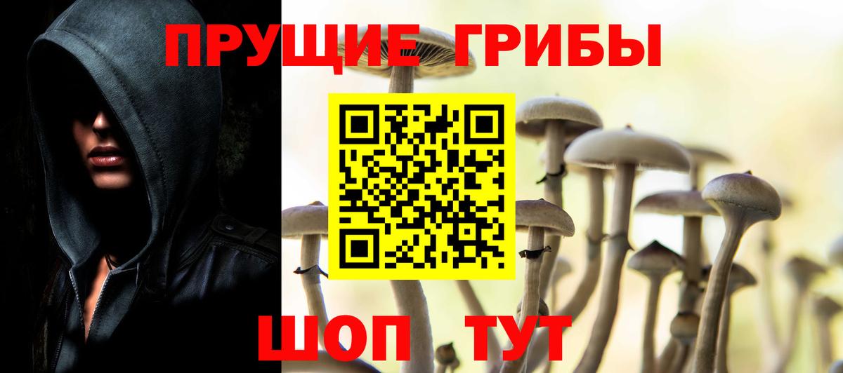 купить закладку  Вход с VPN  Октябрьский  Галлюциногенные грибы GOLDEN TEACHER  Галлюциногенные грибы MAGIC MUSHROOMS 